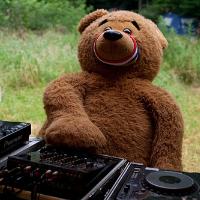 Giant Bear