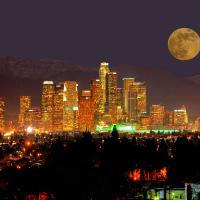 NIGHT:LA