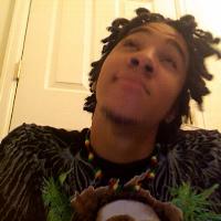 Panda Bear