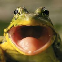 BigMouth