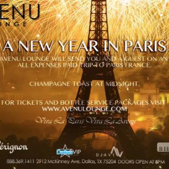 A NEW YEAR IN PARIS!!!: Main Image