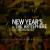 NYE DC 2013 AT ARTISPHERE: Thumb Image 6