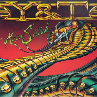 Y&T: Main Image