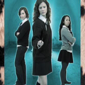Heirs of Hogwarts: Main Image