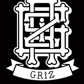 Griz | Mansions On The Moon: Main Image