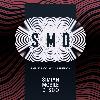 LNSC - SIMIAN MOBILE DISCO-img
