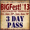 BIGfest 3 Day Pass-img