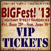 BIGfest 3 Day VIP Pass-img