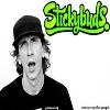 STICKYBUDS - STAMPEDE - YYC-img