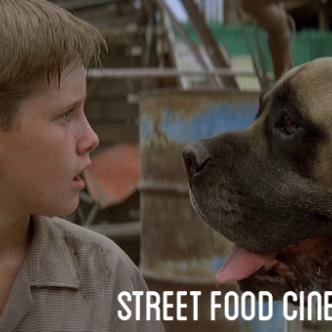 THE SANDLOT-img
