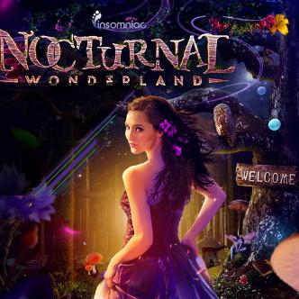 Nocturnal Wonderland-img