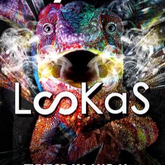 Havoc ft. Lookas-img