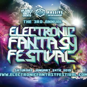 Electronic Fantasy Festival (DJ GAMMER)-img