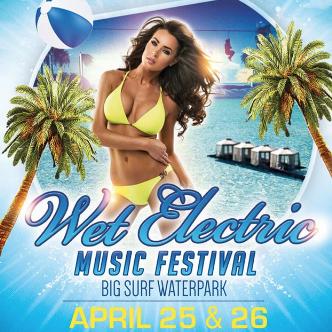 Wet Electric 2015-img