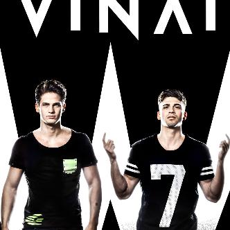 VINAI-img