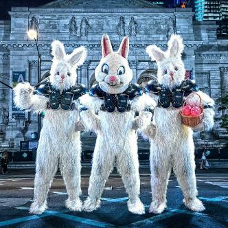 FULL BUNNY CONTACT: EXTREME EGG HUNT-img