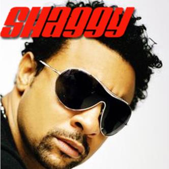 Shaggy-img